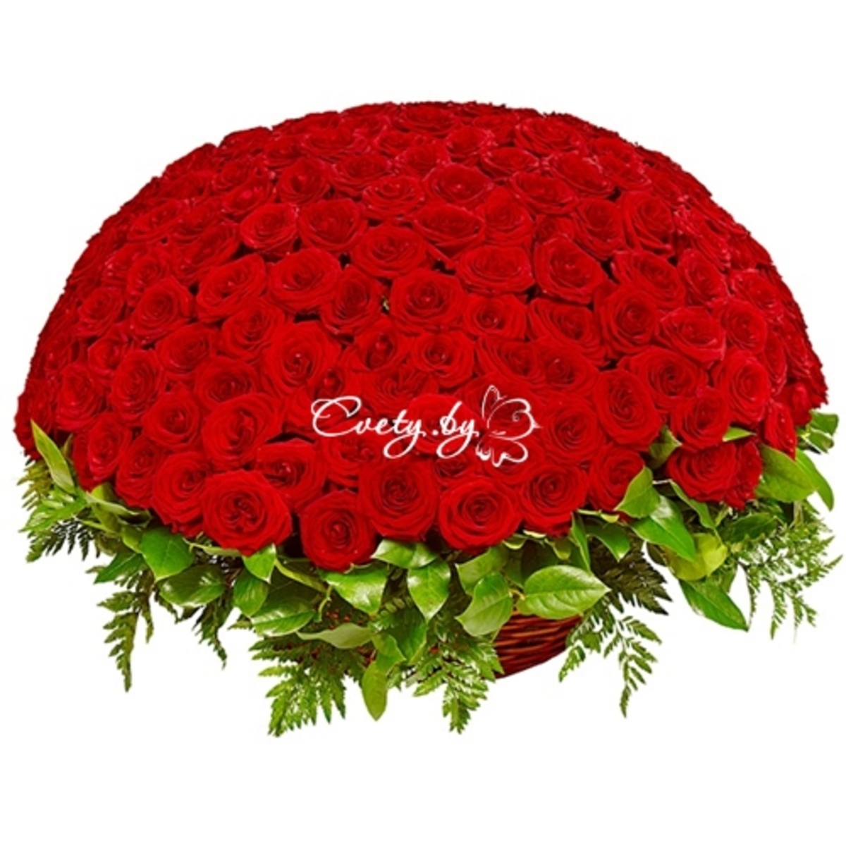 Чувства