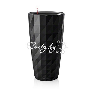 Diamante 40 . �������� ������ Cvety.by