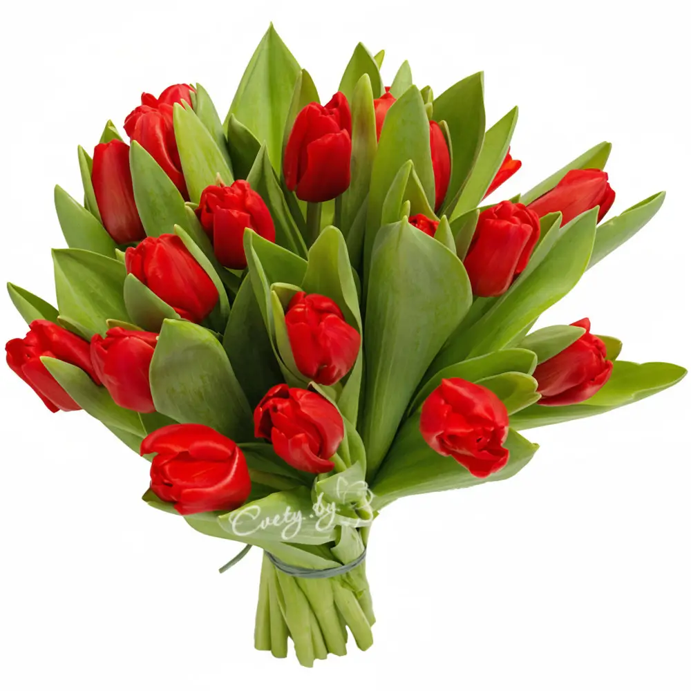 �� ���� ����. �������� ������ Cvety.by