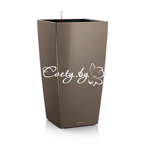 Cubico 22. �������� ������ Cvety.by