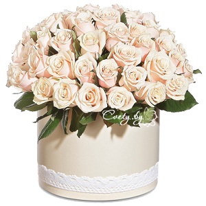 Bellissimo. �������� ������ Cvety.by