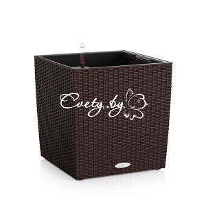 Cube Cottage. �������� ������ Cvety.by